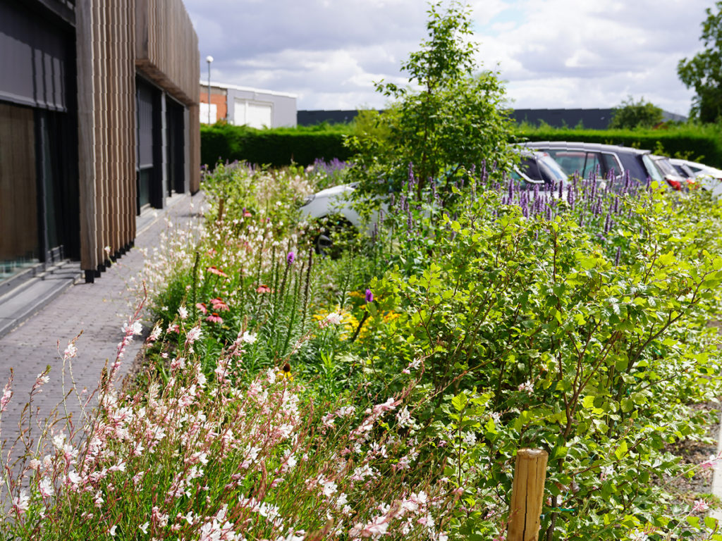 beplanting in bloei aan kantoorgebouw