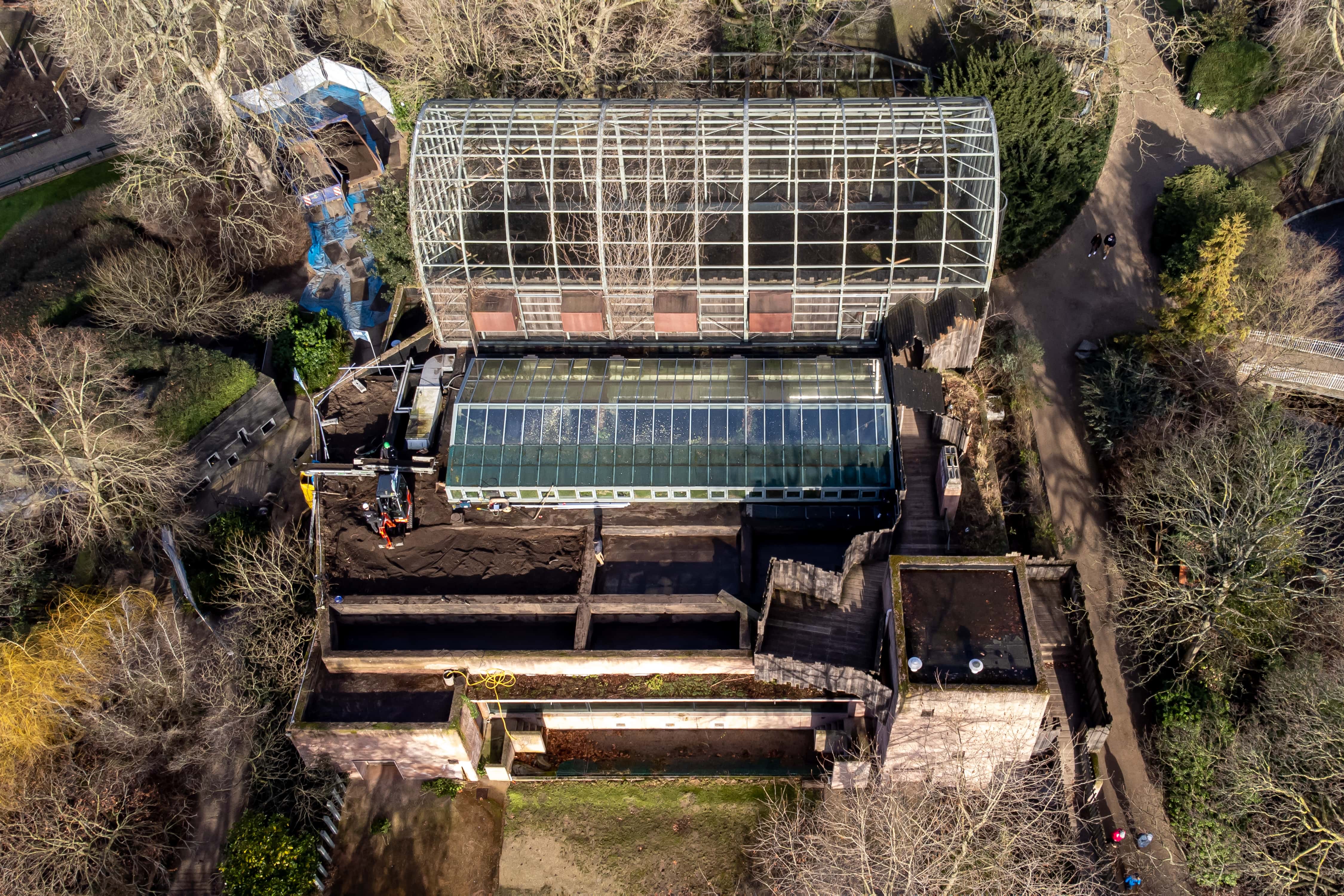 Travaux de démolition circulaire du toit vert de l’enclos des hippopotames au zoo d’Anvers