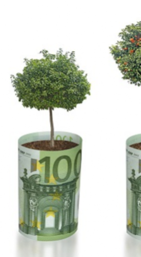 subsidies groendak