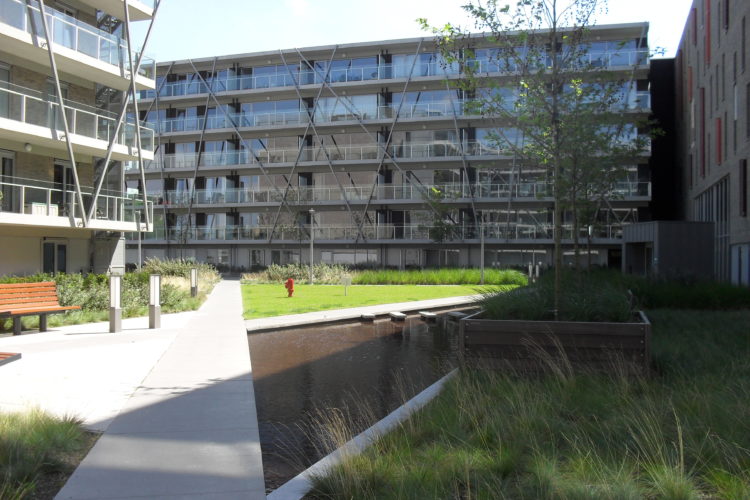 intensieve daktuin met verharding groenbrugge