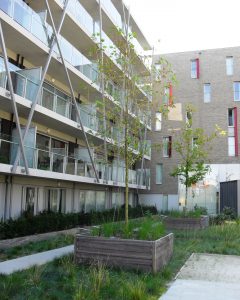 intensieve daktuin met verharding groenbrugge