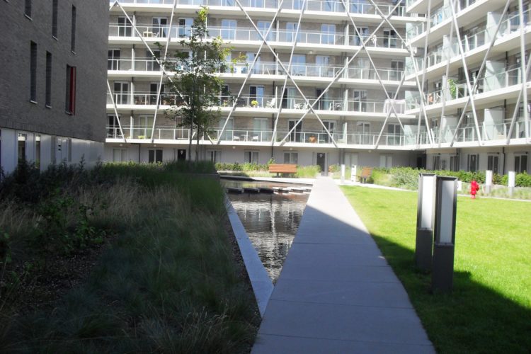 intensieve daktuin met verharding groenbrugge