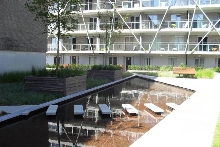 intensieve daktuin met verharding groenbrugge