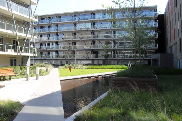 intensieve daktuin met verharding groenbrugge