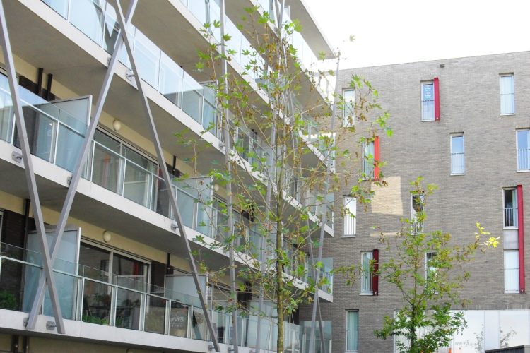 intensieve daktuin met verharding groenbrugge