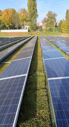 groendak zonnepanelen