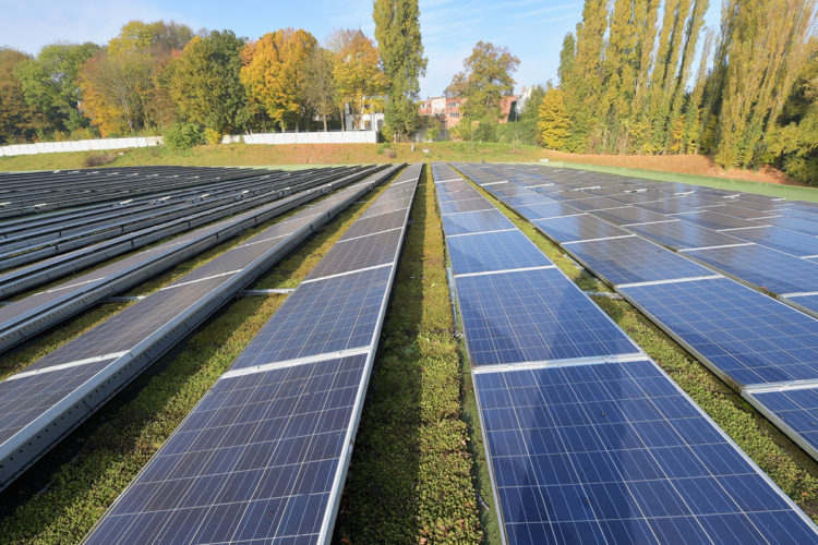 groendak zonnepanelen