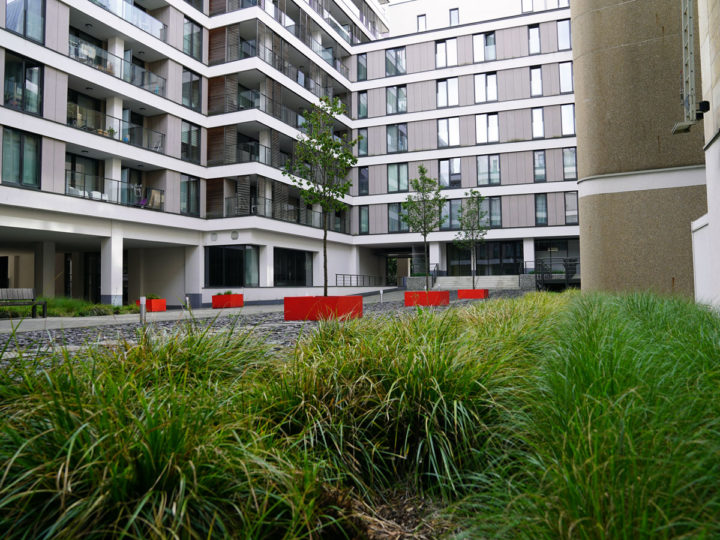 siergrassen op groendak van parking