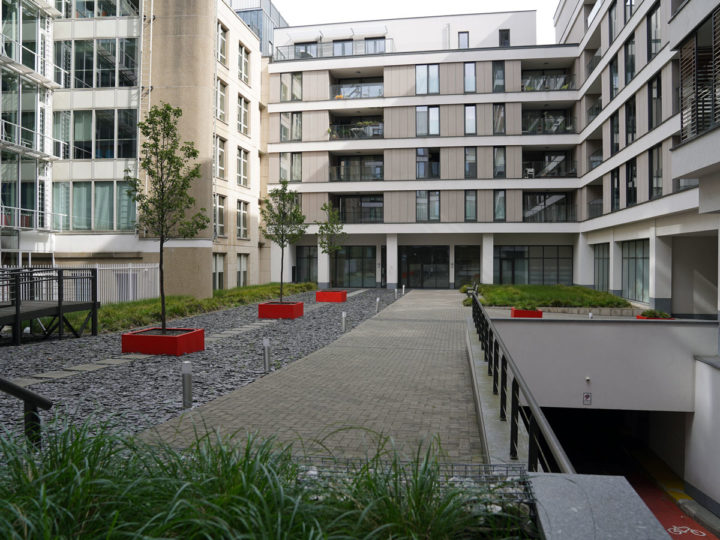 verharding dak groendak met bomen en beplanting livingstone brussel