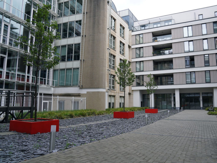 verharding dak groendak met bomen en beplanting livingstone brussel