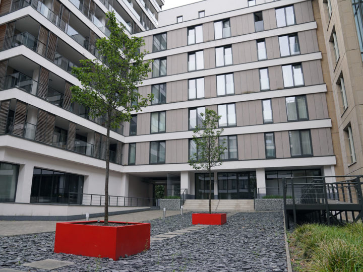 verharding dak groendak met bomen en planten