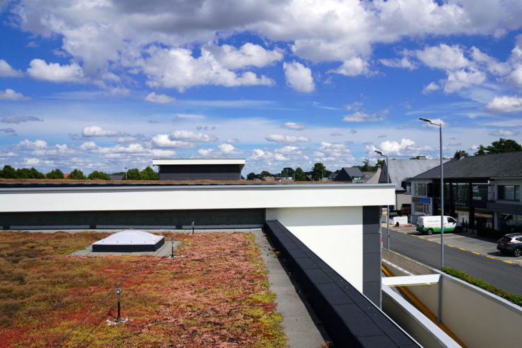 extensief groendak met sedums delhaize keerbergen