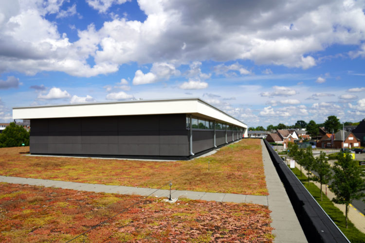 extensief groendak met sedum delhaize keerbergen