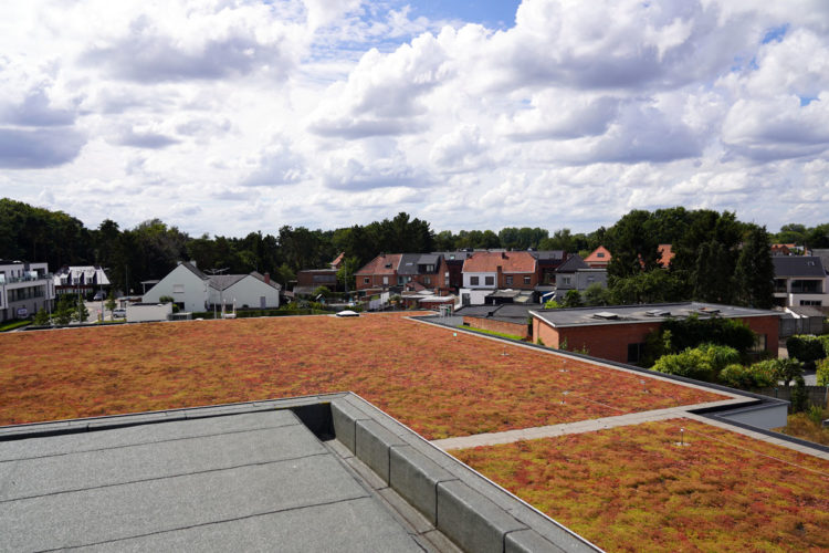 Delhaize Keerbergen