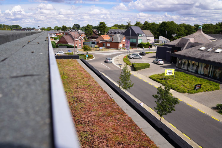 extensief groendak met sedums delhaize keerbergen