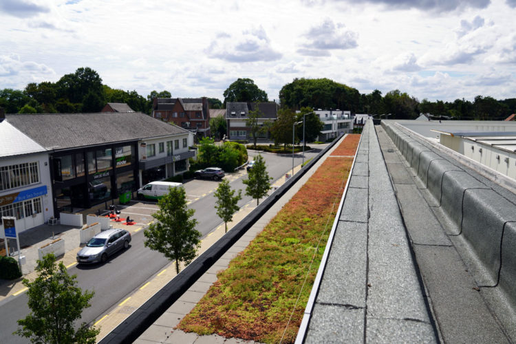 extensief groendak met sedums delhaize keerbergen