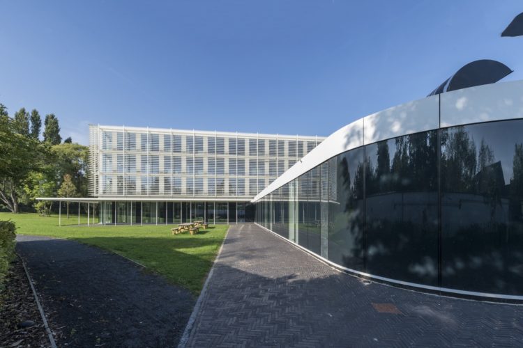 extensief groendak op plat dak