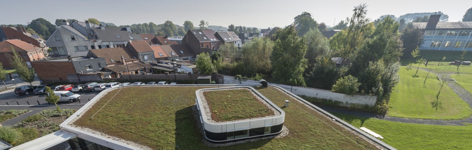 extensief intensief groendak