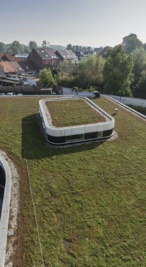 extensief intensief groendak