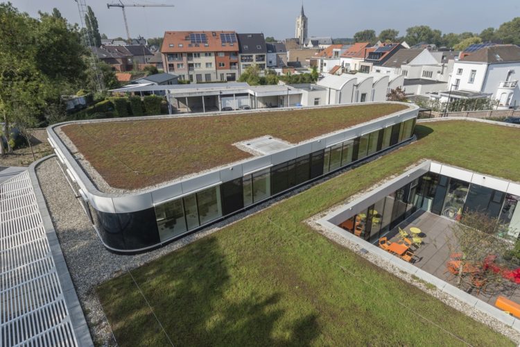 extensief groendak op plat dak