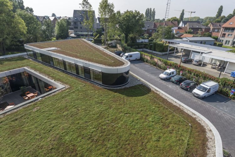 extensief groendak op plat dak