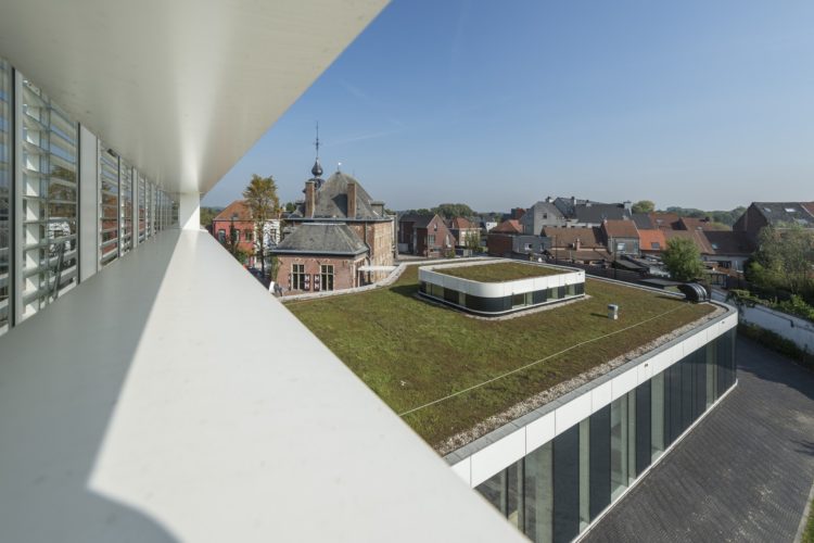 extensief groendak op plat dak