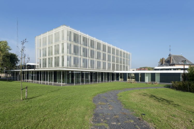 extensief groendak op plat dak
