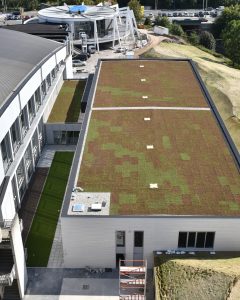 extensief groendak met sedum