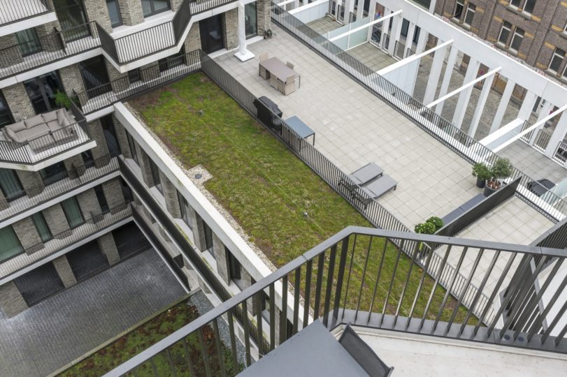 extensief groendak op plat dak
