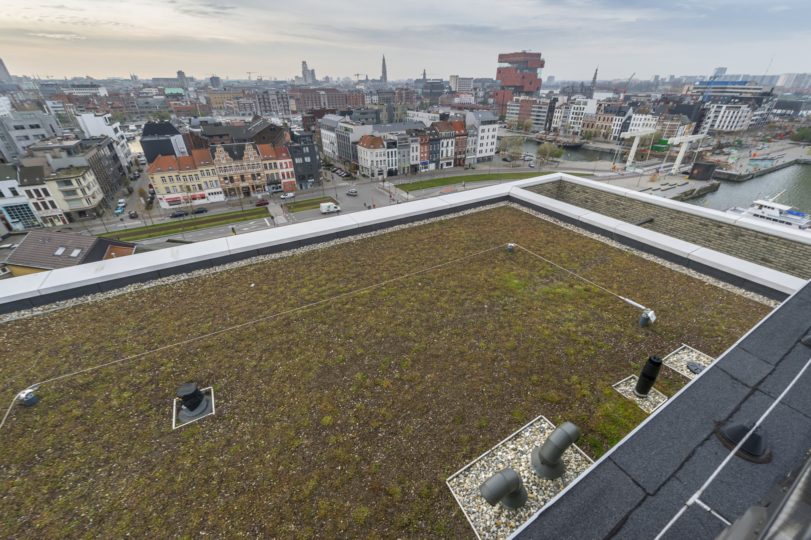 extensief groendak op plat dak
