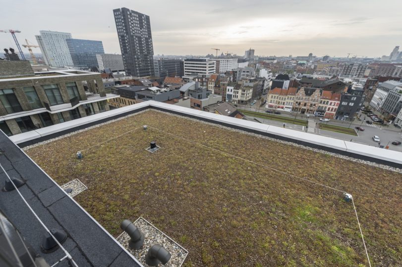 extensief groendak op plat dak
