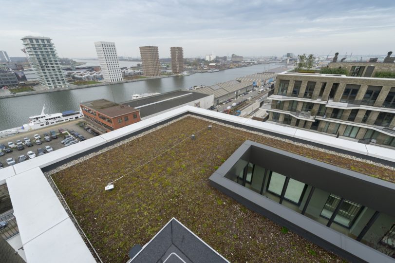 extensief groendak op plat dak