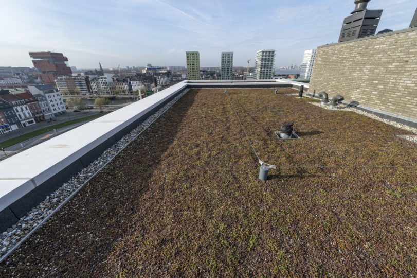 extensief groendak op plat dak