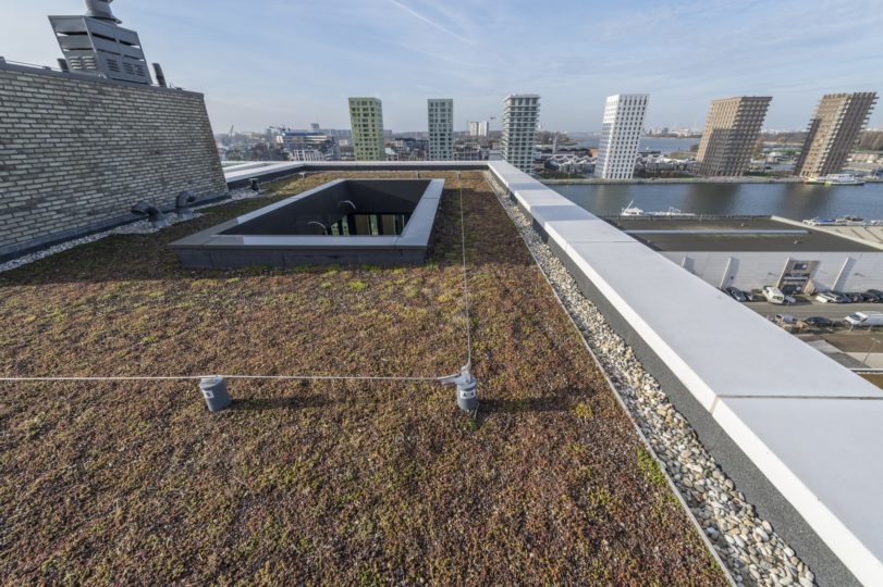 extensief groendak op plat dak
