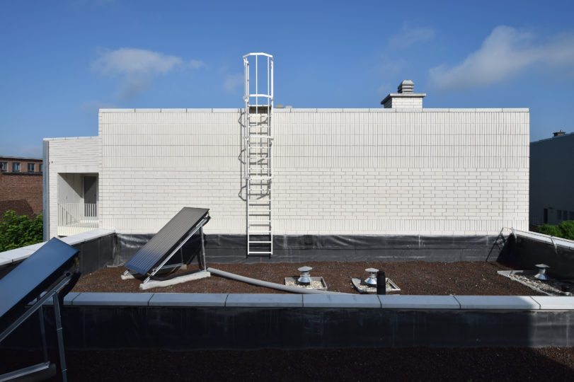 Ladders en kooiladders