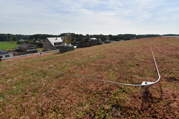 leeflijn op plat groendak