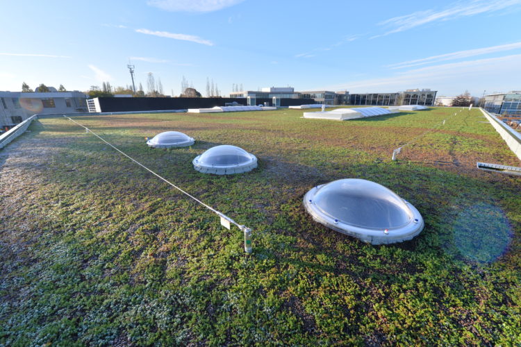 leeflijn op plat groendak