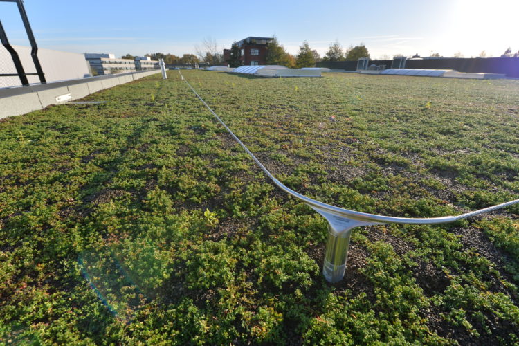 leeflijn op plat groendak