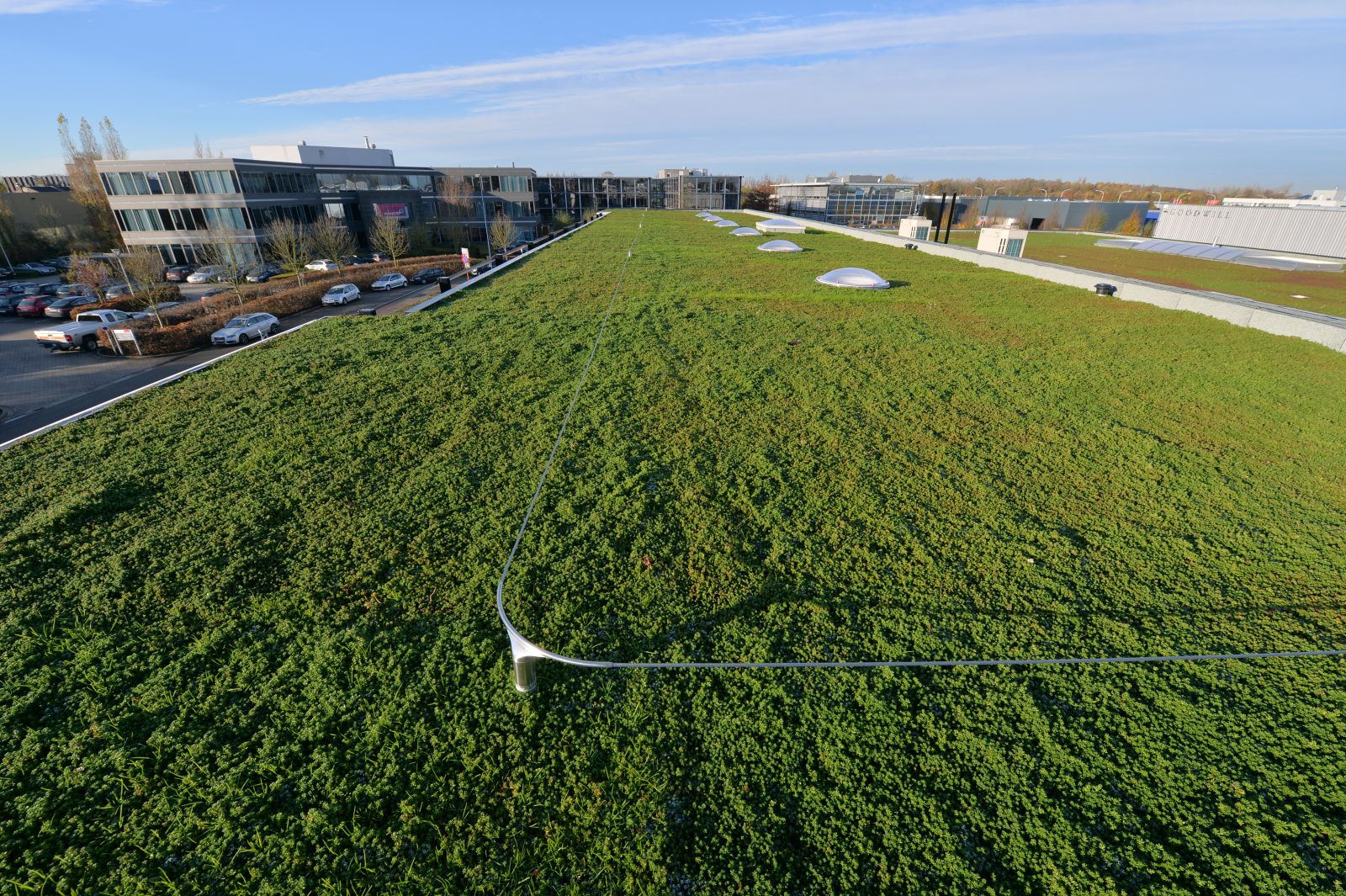 leeflijn op plat groendak