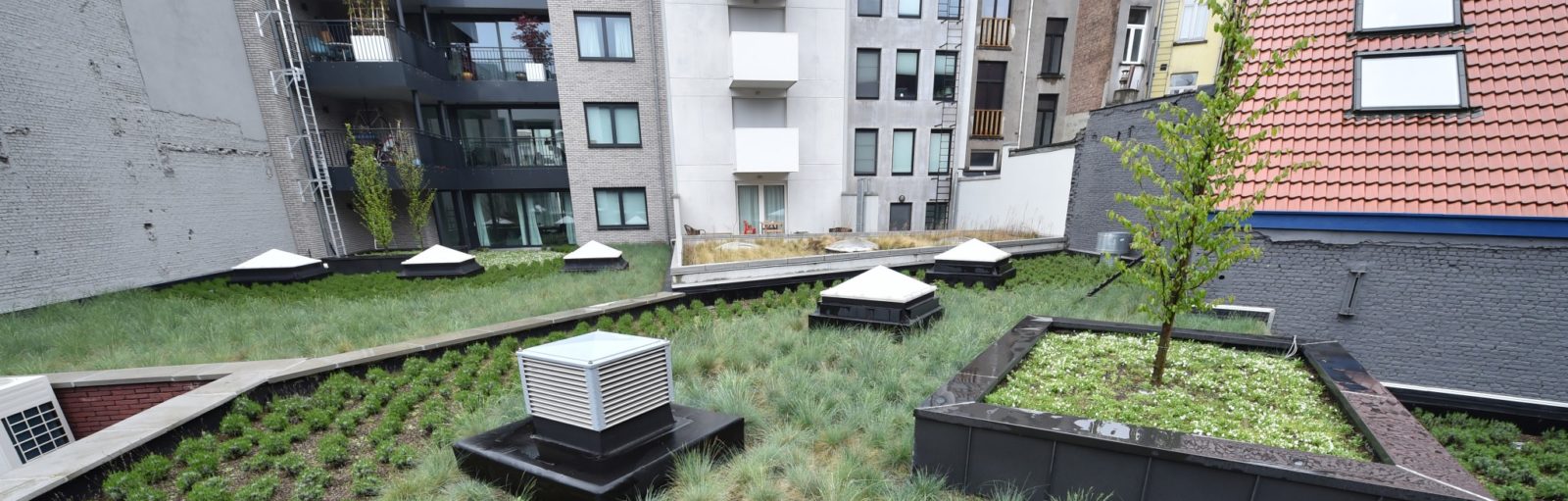 intensief groendak op plat dak