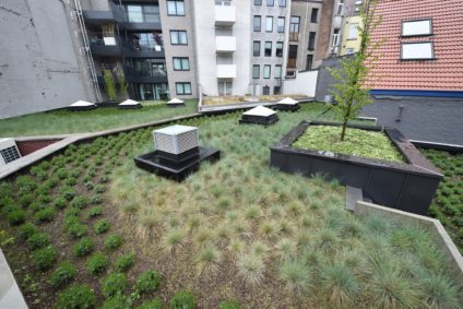 intensief groendak op plat dak