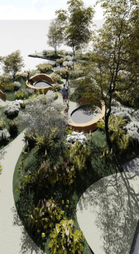 ontwerp groendak