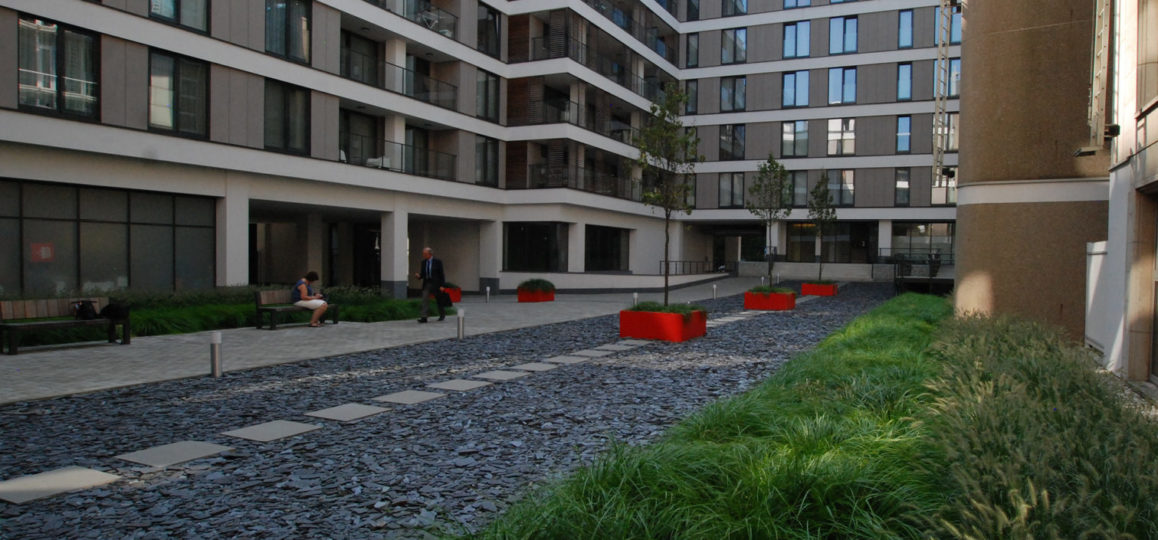 verharding dak groendak met bomen en beplanting