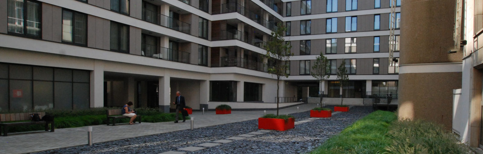 verharding dak groendak met bomen en beplanting