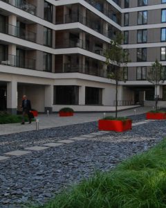 verharding dak groendak met bomen en beplanting