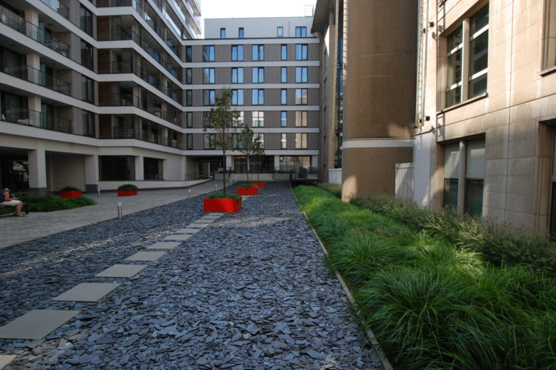 verharding dak groendak met bomen en planten livingstone brussel