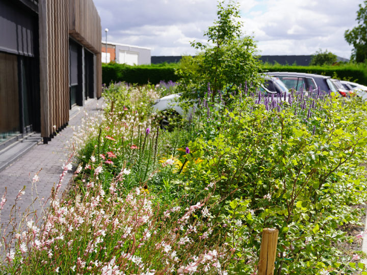 beplanting in bloei aan kantoorgebouw