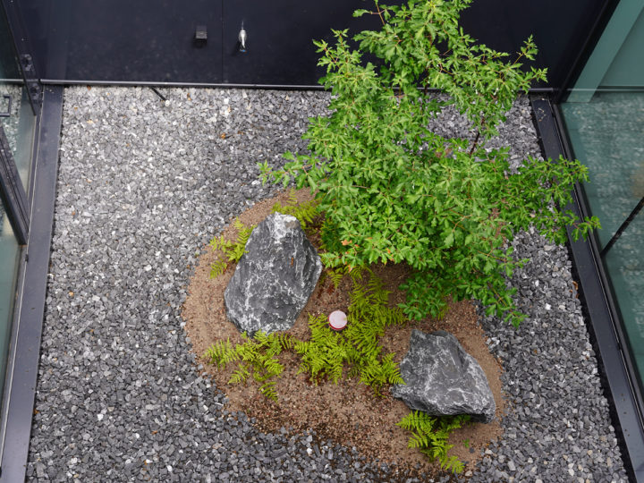 ibic patio met bijenkasten