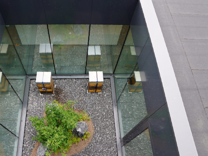 ibic patio met bijenkasten