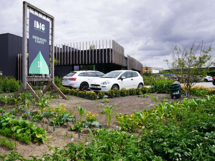 moestuin bij ibic